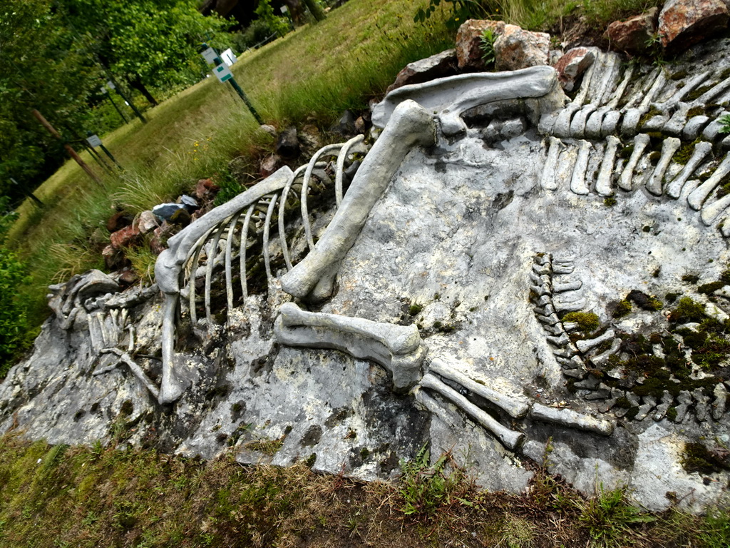 Skeleton of a Dinosaur in the Garden of the Oertijdmuseum