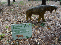Statue of a Smilodon in the Oertijdwoud forest of the Oertijdmuseum, with explanation