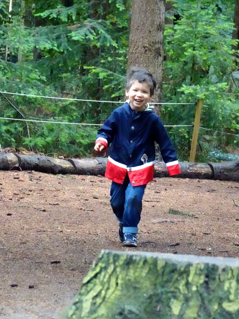 Max in the Oertijdwoud forest of the Oertijdmuseum