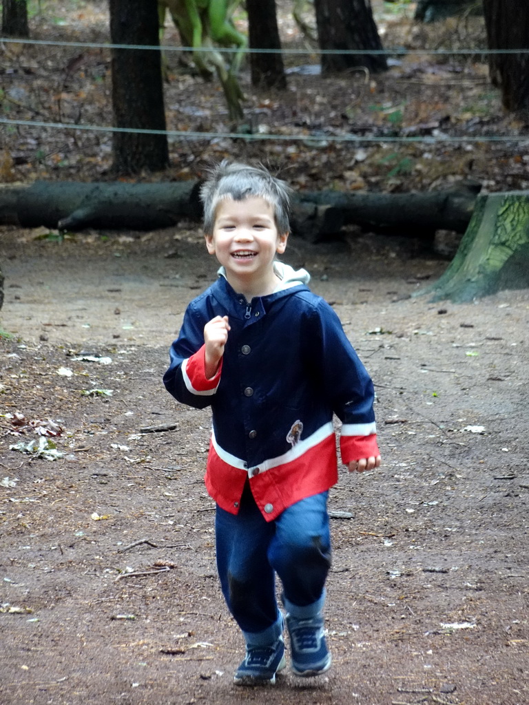 Max in the Oertijdwoud forest of the Oertijdmuseum