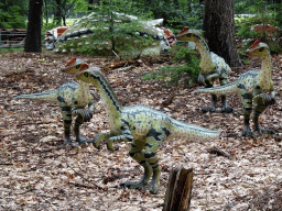 Statues of Dilong Paradoxus in the Oertijdwoud forest of the Oertijdmuseum