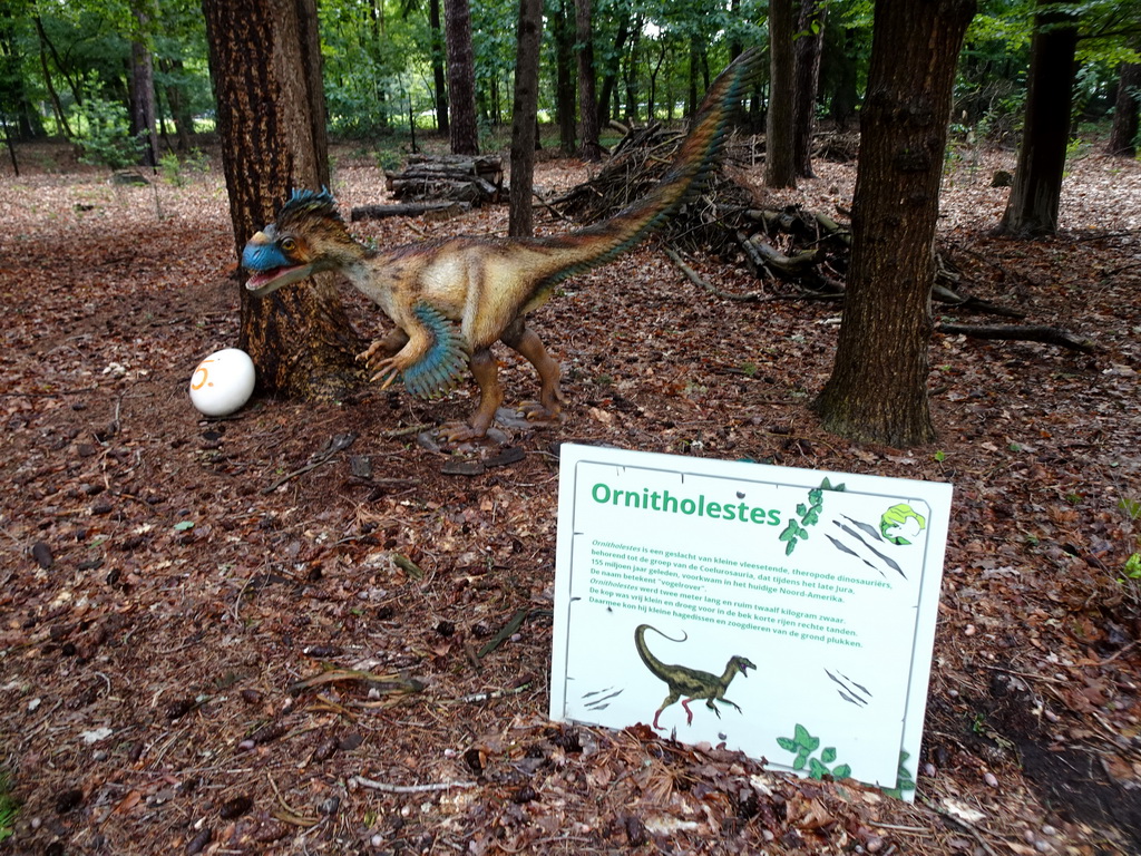 Statue of an Ornitholestes in the Oertijdwoud forest of the Oertijdmuseum, with explanation