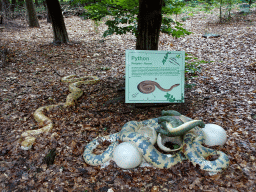 Statues of Pythons in the Oertijdwoud forest of the Oertijdmuseum, with explanation
