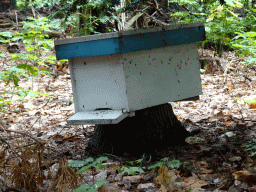 Beehive in the Oertijdwoud forest of the Oertijdmuseum