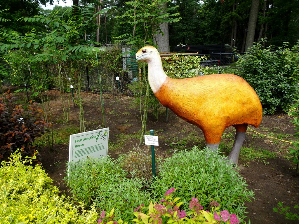 Statue of a Dromornis planei in the Garden of the Oertijdmuseum, with explanation