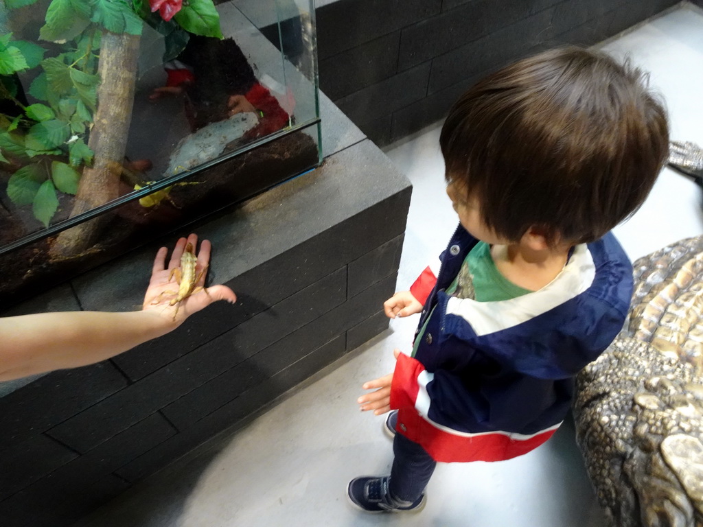 Max with Australian Walking Sticks at the lower floor of the Reptielenhuis De Aarde zoo