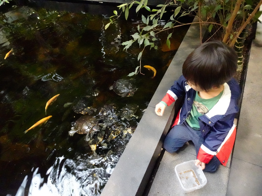 Max feeding the Red-eared Sliders at the lower floor of the Reptielenhuis De Aarde zoo