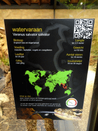 Explanation on the Asian Water Monitor at the lower floor of the Reptielenhuis De Aarde zoo