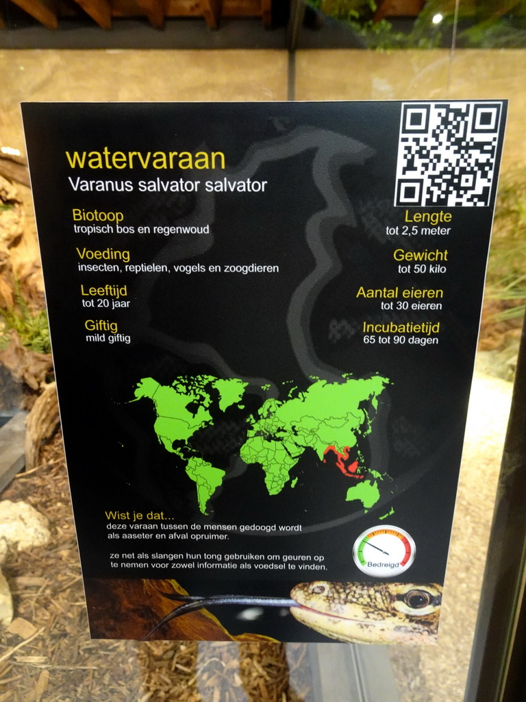 Explanation on the Asian Water Monitor at the lower floor of the Reptielenhuis De Aarde zoo