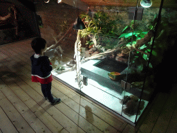 Max at the upper floor of the Reptielenhuis De Aarde zoo