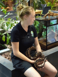 Zookeeper with a Ball Python at the lower floor of the Reptielenhuis De Aarde zoo