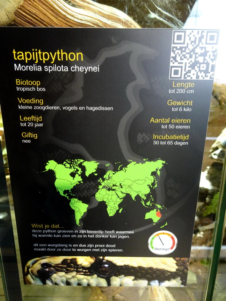 Explanation on the Carpet Python at the upper floor of the Reptielenhuis De Aarde zoo