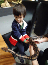 Max with a Ball Python at the lower floor of the Reptielenhuis De Aarde zoo