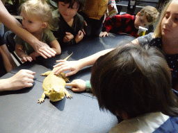 Max with a Bearded Dragon at the lower floor of the Reptielenhuis De Aarde zoo