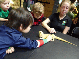 Max and a zookeeper with a Bearded Dragon at the lower floor of the Reptielenhuis De Aarde zoo