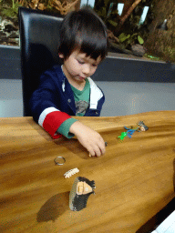 Max playing with animal toys at the lower floor of the Reptielenhuis De Aarde zoo