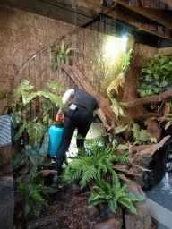 Zookeeper cleaning a cage at the lower floor of the Reptielenhuis De Aarde zoo