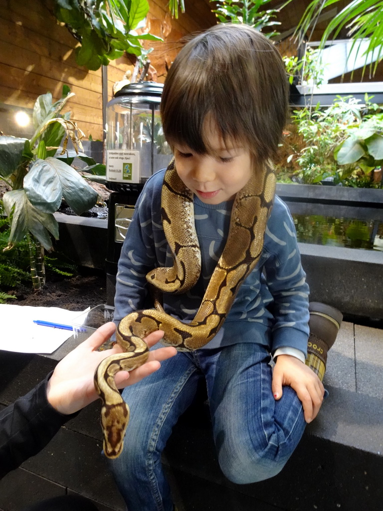 Max with a Ball Python at the lower floor of the Reptielenhuis De Aarde zoo