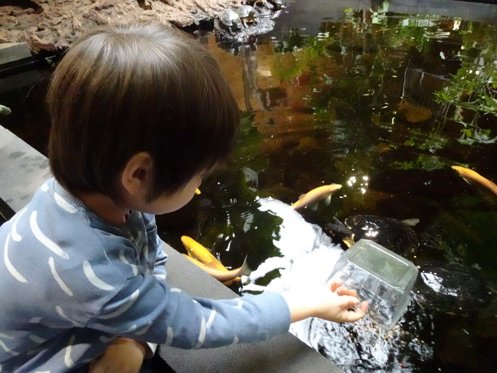 Max feeding the Red-eared Sliders and fish at the lower floor of the Reptielenhuis De Aarde zoo