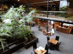 Interior of the Reptielenhuis De Aarde zoo, viewed from the upper floor