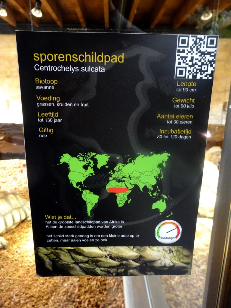 Explanation on the African Spurred Tortoise at the lower floor of the Reptielenhuis De Aarde zoo