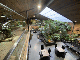 Interior of the Reptielenhuis De Aarde zoo, viewed from the upper floor