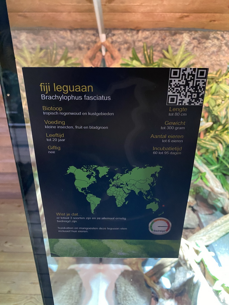 Explanation on the Fiji Banded Iguana at the upper floor of the Reptielenhuis De Aarde zoo