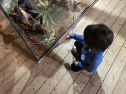Max with a Plumed Basilisk at the lower floor of the Reptielenhuis De Aarde zoo