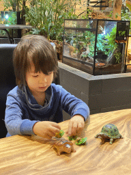 Max playing with Turtle and Frog toys at the lower floor of the Reptielenhuis De Aarde zoo