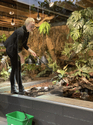 Zookeeper with a Dwarf crocodile at the lower floor of the Reptielenhuis De Aarde zoo