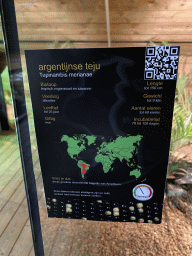 Explanation on the Argentine Black and White Tegu at the upper floor of the Reptielenhuis De Aarde zoo