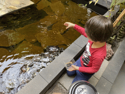 Max feeding the Red-eared Sliders at the lower floor of the Reptielenhuis De Aarde zoo