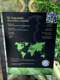Explanation on the Fiji Banded Iguana at the upper floor of the Reptielenhuis De Aarde zoo