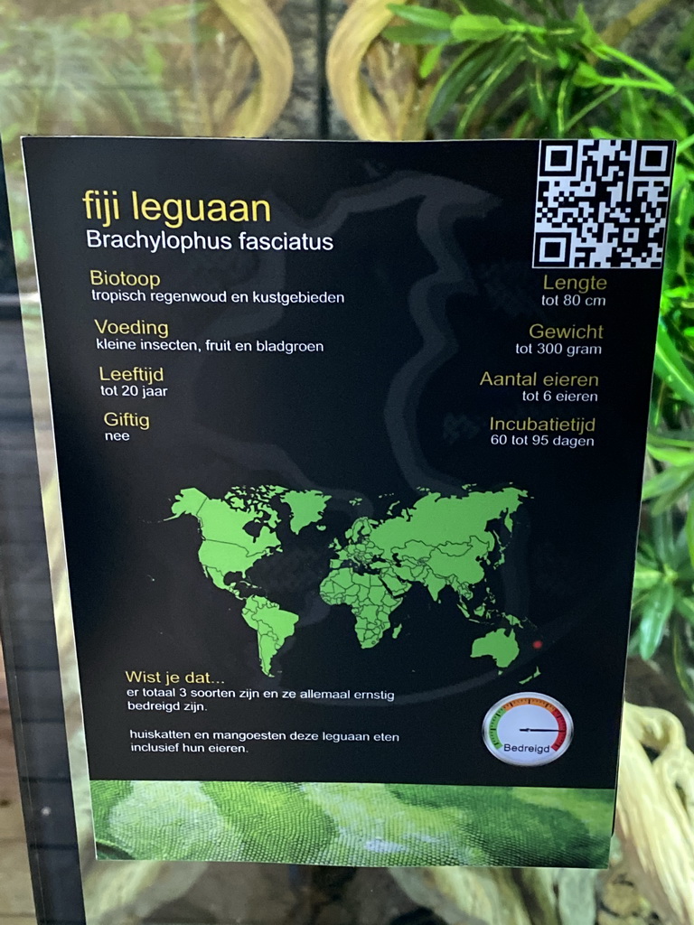 Explanation on the Fiji Banded Iguana at the upper floor of the Reptielenhuis De Aarde zoo