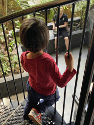 Max looking at the Zookeeper feeding locusts to the Red-eared Sliders at the lower floor of the Reptielenhuis De Aarde zoo