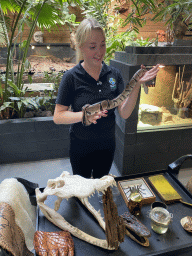 Zookeeper with a Ball Python at the lower floor of the Reptielenhuis De Aarde zoo