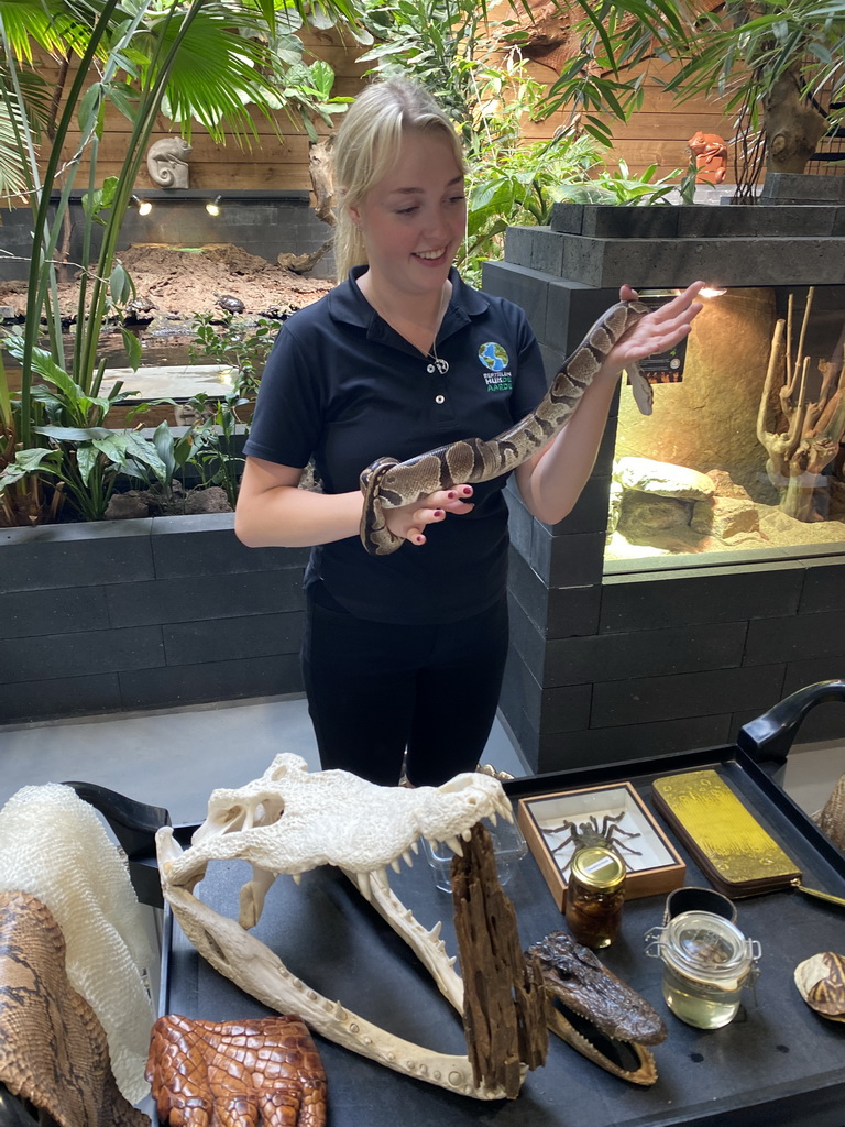 Zookeeper with a Ball Python at the lower floor of the Reptielenhuis De Aarde zoo