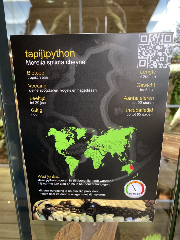 Explanation on the Carpet Python at the upper floor of the Reptielenhuis De Aarde zoo