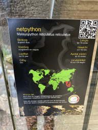 Explanation on the Reticulated Python at the upper floor of the Reptielenhuis De Aarde zoo