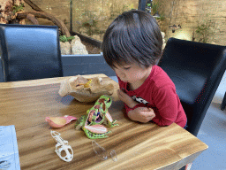 Max playing with an anatomical scale model of a frog at the lower floor of the Reptielenhuis De Aarde zoo