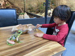 Max playing with a scorpion toy and an anatomical scale model of a frog at the lower floor of the Reptielenhuis De Aarde zoo