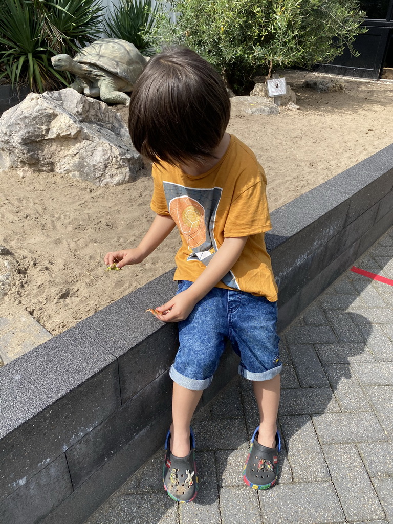 Max with toys and a Tortoise statue at the garden of the Reptielenhuis De Aarde zoo