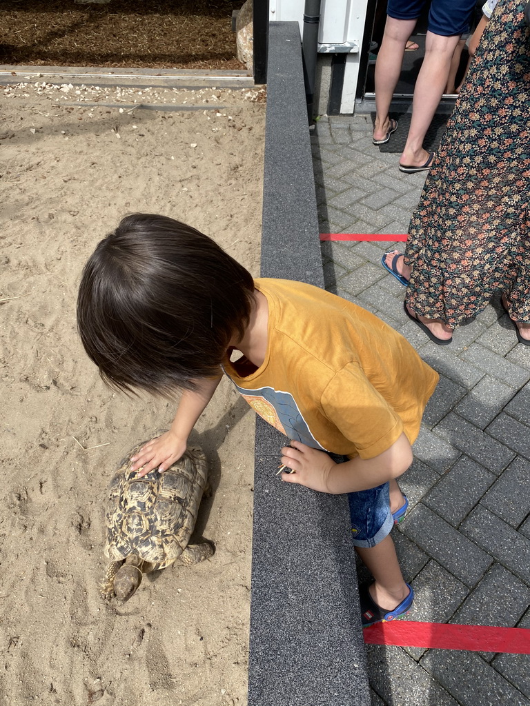 Max with an African Spurred Tortoise at the garden of the Reptielenhuis De Aarde zoo