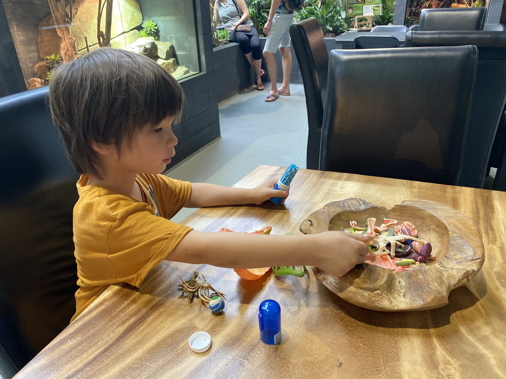 Max playing with an anatomical scale model of a frog at the lower floor of the Reptielenhuis De Aarde zoo