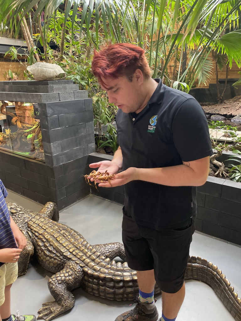 Zookeeper with Australian Walking Sticks at the lower floor of the Reptielenhuis De Aarde zoo