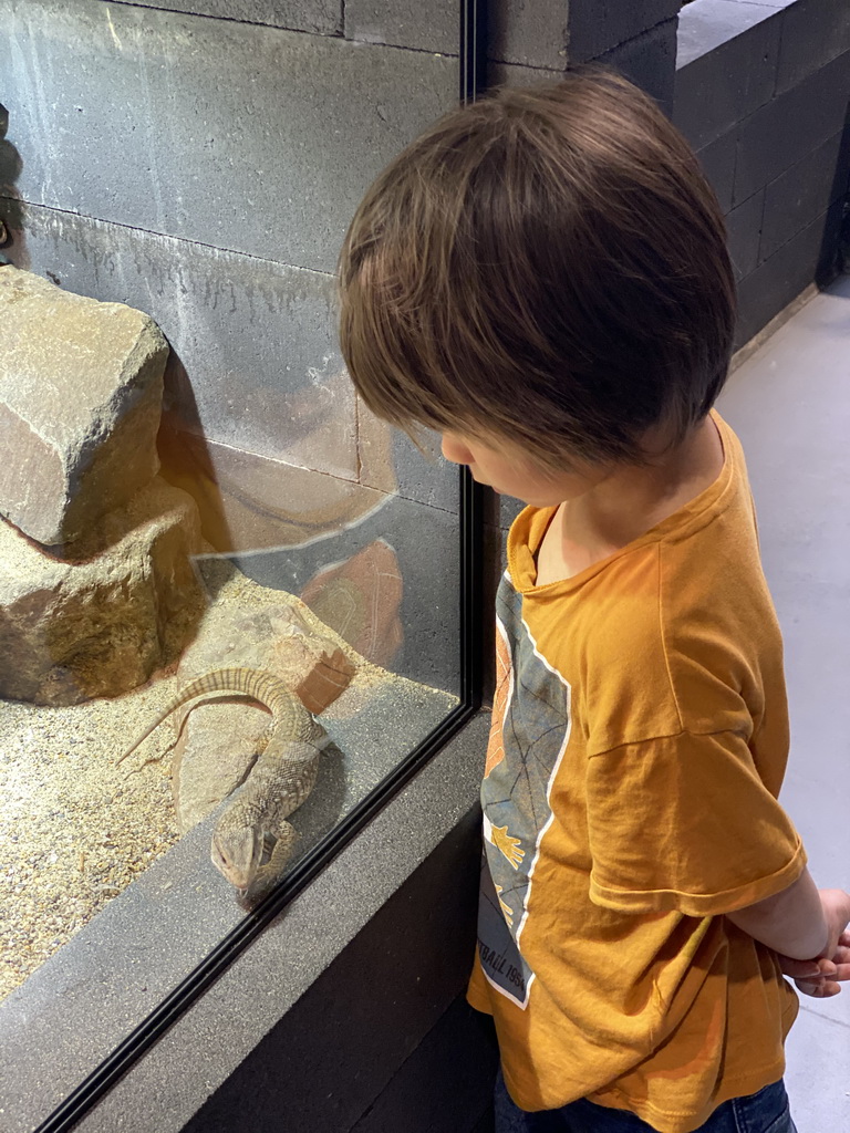 Max with a Savannah Monitor at the lower floor of the Reptielenhuis De Aarde zoo