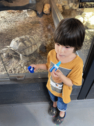 Max with an African Spurred Tortoise at the lower floor of the Reptielenhuis De Aarde zoo