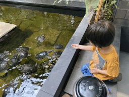 Max feeding the Red-eared Sliders at the lower floor of the Reptielenhuis De Aarde zoo