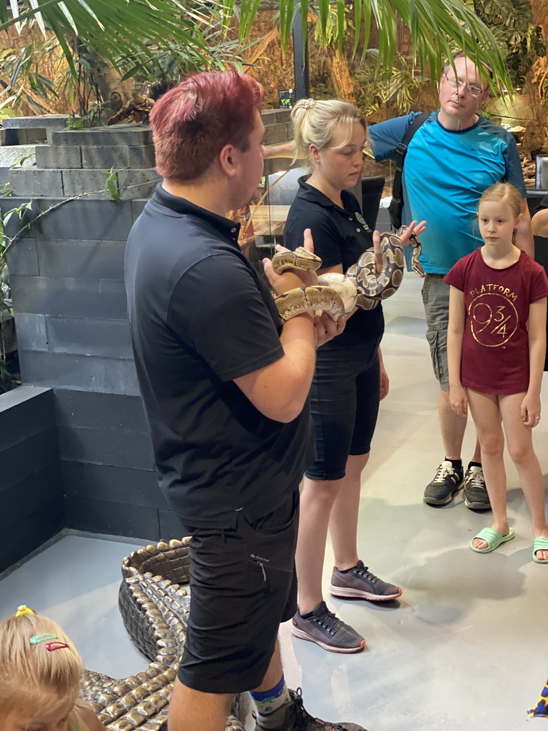 Zookeepers with Ball Pythons at the lower floor of the Reptielenhuis De Aarde zoo