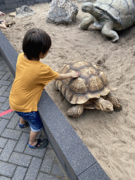 Max with an African Spurred Tortoise at the garden of the Reptielenhuis De Aarde zoo